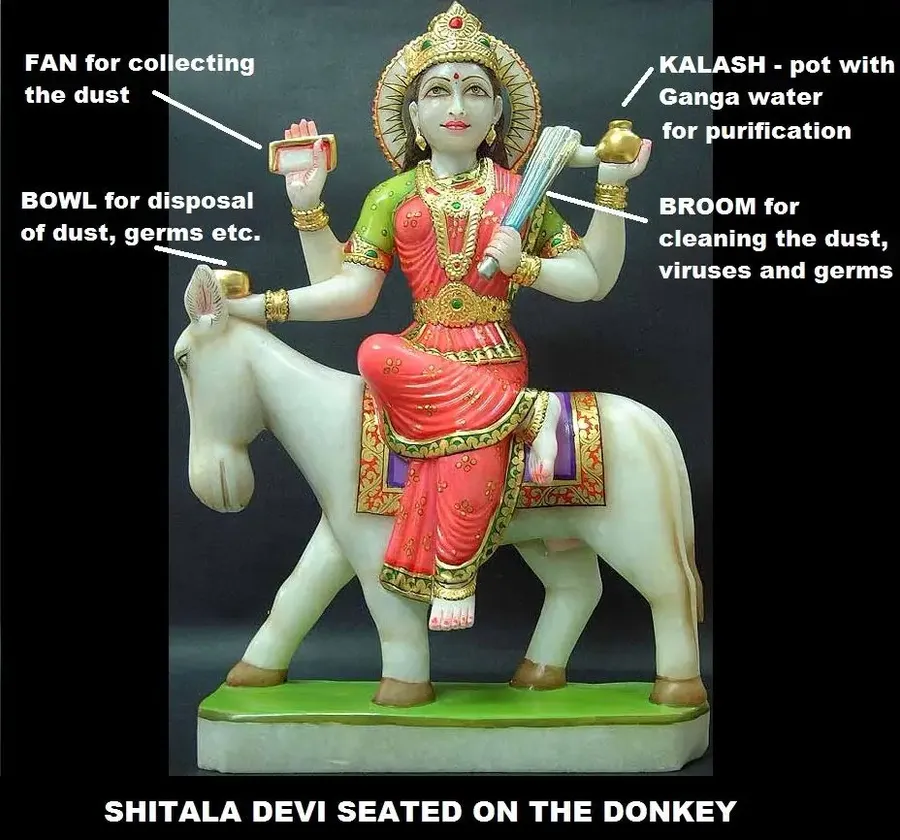 the-day-of-shitala-devi bodyImage